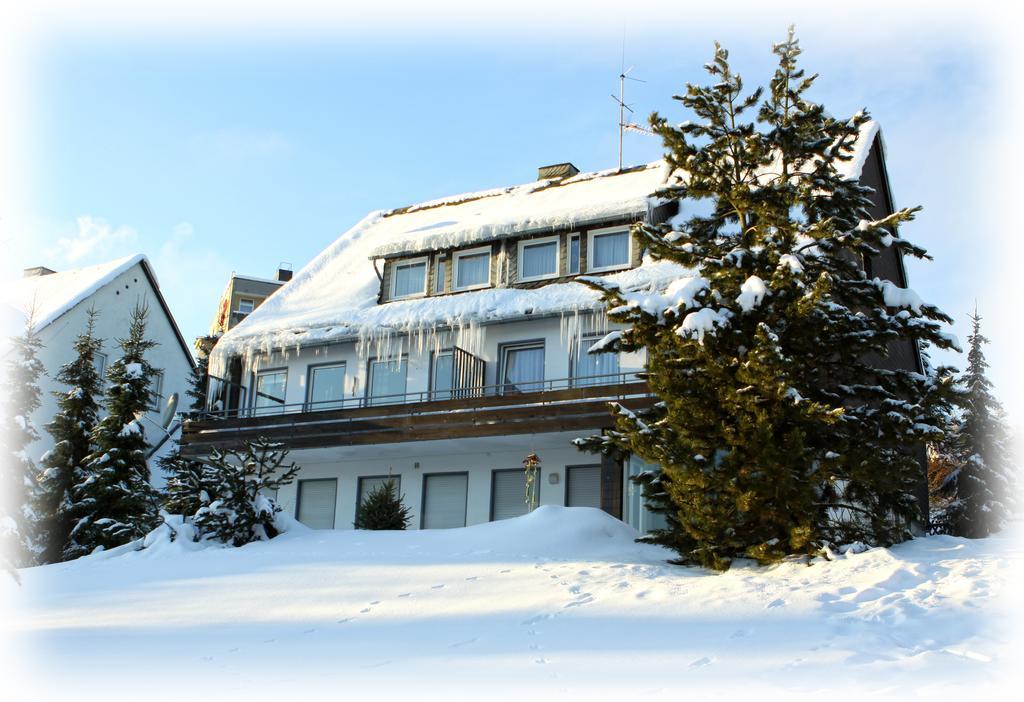 Wietheger'S Gaestehaus Centrum Willingen  Kamer foto
